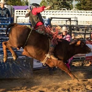 Meet your Posher, Zach